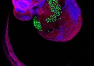 MG Seminar_Research feature
