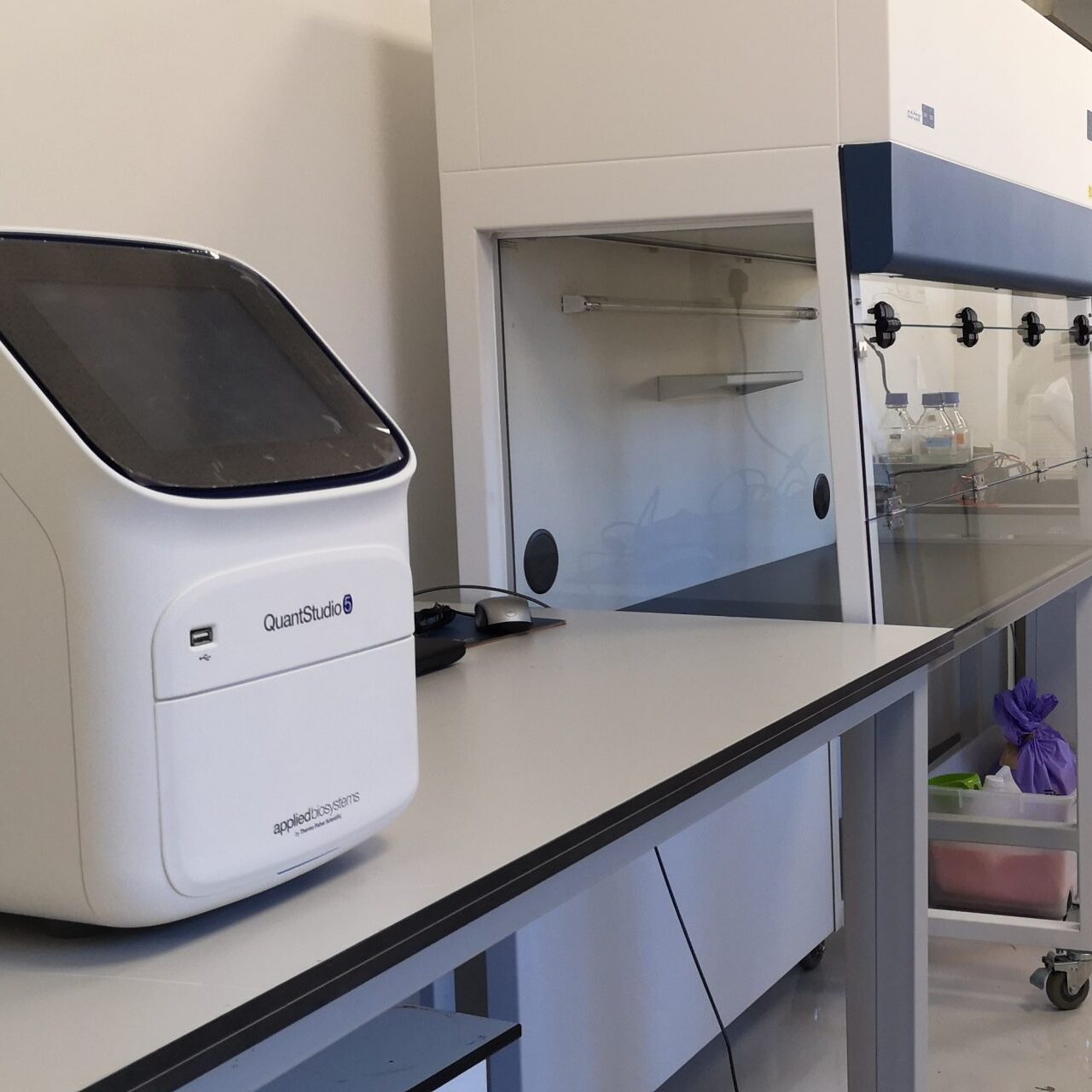 Molecular Lab - PCR