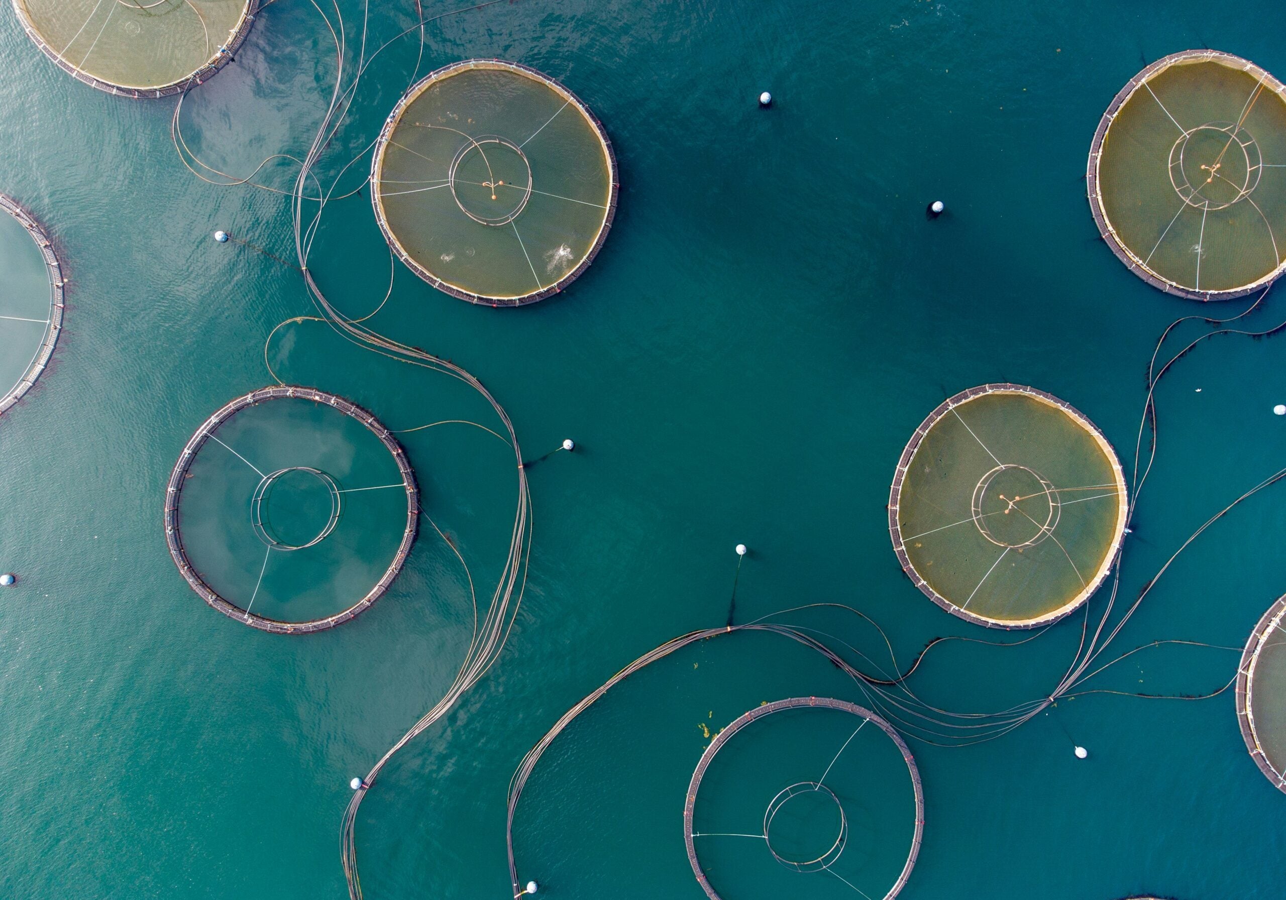 bob-brewer-udVjzhI9gXs-unsplash